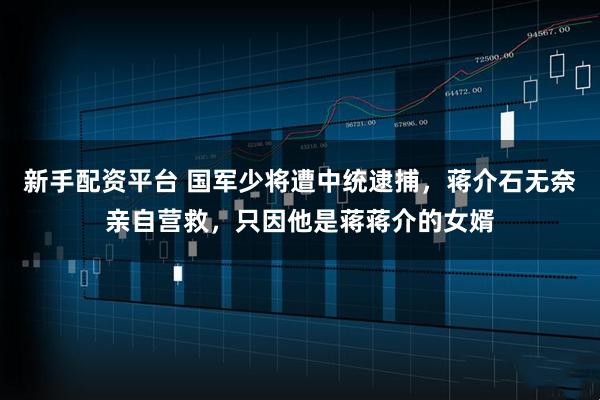 新手配资平台 国军少将遭中统逮捕,蒋介石无奈亲自营救,只因他是蒋蒋介的女婿